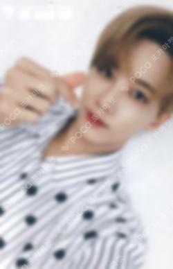 SEVENTEEN JAPAN DEBUT SHOWCASE WE MAKE YOU TRADING CARD