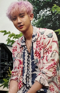 Pocamarket, EXO CHANYEOL THE WAR Private Ver. K-pop Photocard