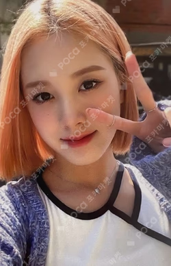 STAYDOM MOKKET SHOP/OWHAT