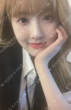 Teddy Bear WONDERWALL