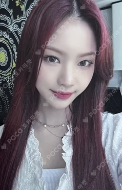 Teddy Bear WONDERWALL