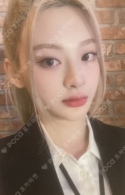 Teddy Bear WONDERWALL