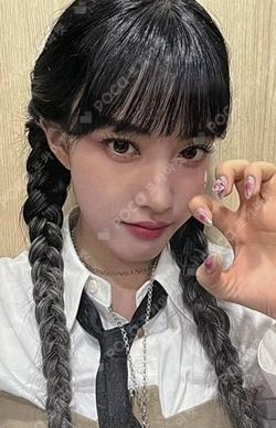 Teddy Bear DEAR MY MUSE