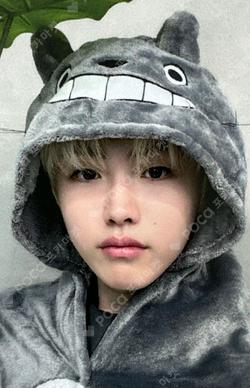 NEW TOMORROW EVERLINE