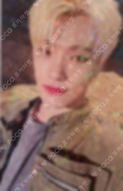 Seventeen DINO photocard image