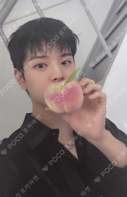 DICON VOLUME N°21 STRAY KIDS : Summer KraZy B-type