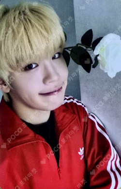 CINEMA PARADISE StarRiver