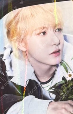 DREAMSCAPE HOTTRACKS