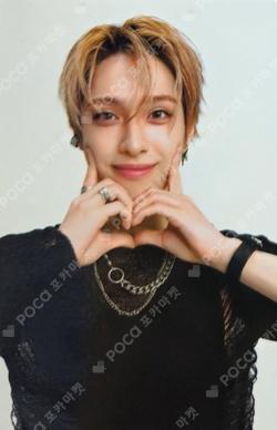 LIVE and FALL COLLECT CASE