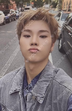 LIVE and FALL Tabloid ver.