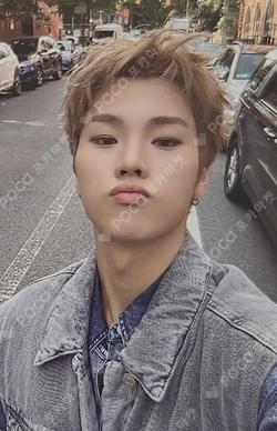 LIVE and FALL Tabloid ver. Jungsu photocard image