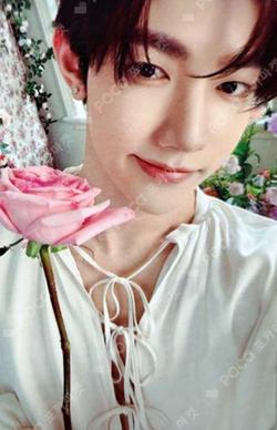 Kustie ZHANG HAO photocard image