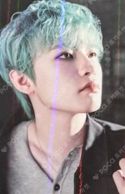 DREAMSCAPE HOTTRACKS CHENLE photocard image