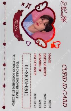 LET’S GO STEADY PHOTO SET SION photocard image