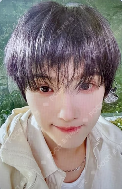 DREAMSCAPE POP-UP with LINE FRIENDS RANDOM TRADING CARD JISUNG photocard image