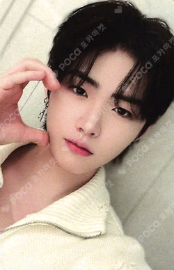 NEW TOMORROW EVERLINE