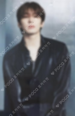 SEVENTEEN RIGHT HERE WORLD TOUR IN JAPAN PHOTO CARD