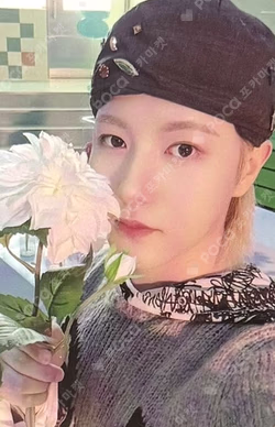 DREAMSCAPE DEAR MY MUSE