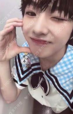 Steady QQ MUSIC SAKUYA photocard image