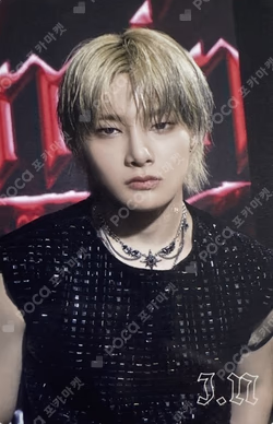 Stray Kids World Tour dominATE JAPAN UPGRADE TICKET