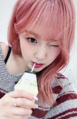 TIPI-TAP DEAR MY MUSE CHAEHYUN photocard image