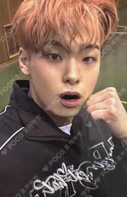 BEAT by 82 POCAALBUM Kim Do Gyun photocard image