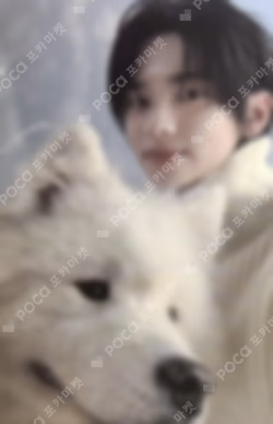 Last Bell WEVERSE LUCKY DRAW