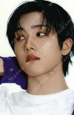 DREAMSCAPE YPBOOKS JISUNG photocard image