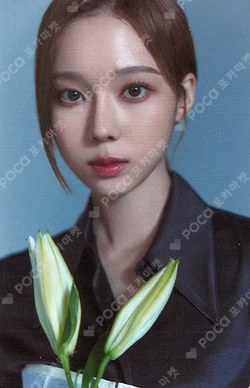 Alluring Atelier Atelier Photo Set