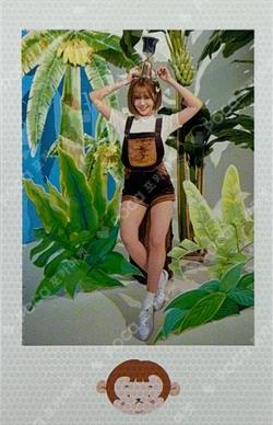 Banana Allergy Monkey Polaroid