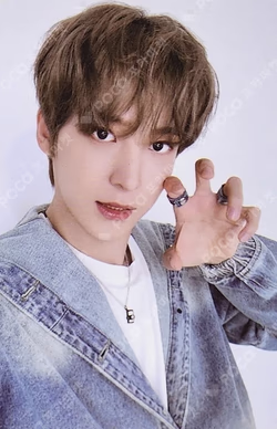 Destiny’s Memories TRADING CARD SET