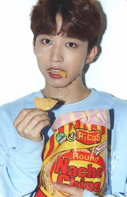 N.Flying NOOB CON TRADING CARD SET
