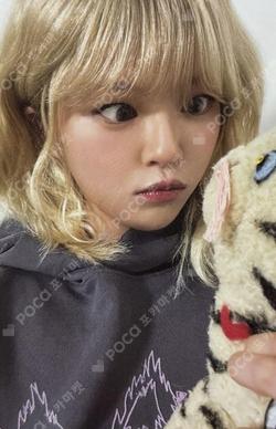 STRATEGY Highlight ver. JEONGYEON photocard image