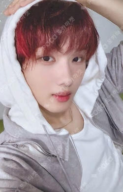 DREAMSCAPE APPLEMUSIC