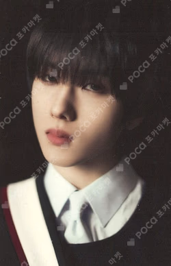 DREAM( )SCAPE ZONE 4X6 PHOTO SET