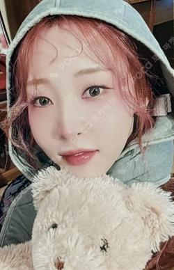 MOON BYUL 2025 SEASON'S GREETINGS 사계향수(四季鄕愁)