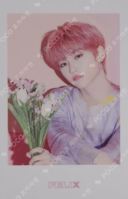 Stray Kids World Tour District 9 : Unlock in JAPAN Photo card set