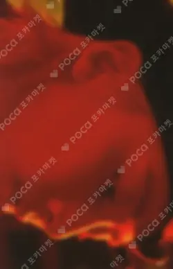 Attacca CARAT Ver.