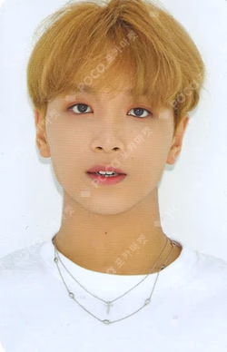 6th Anniversary Repackage Photo Card Set