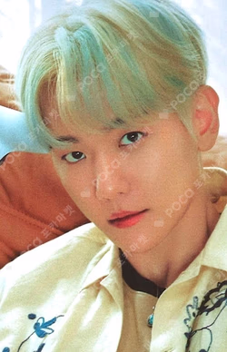 EXIST EXOcial Club – Cream Soda RANDOM TRADING CARD SET C ver.