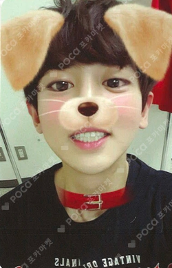 Pocamarket, EXO CHANYEOL For Life K-pop Photocard