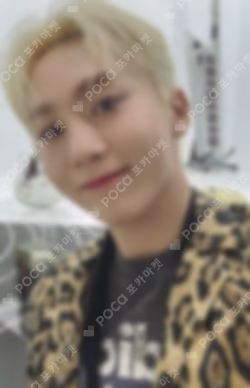 DREAM Limited Edition D