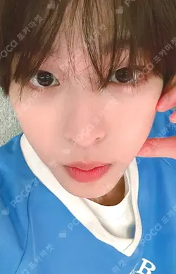 Songbird DEAR MY MUSE