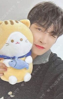 GOLDEN HOUR : Part.2 SOUND WAVE