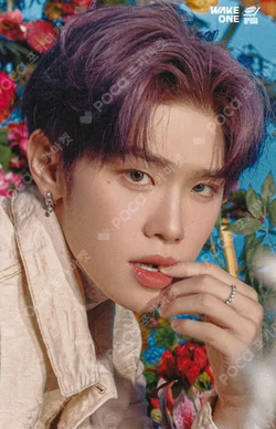 YURA YURA TOWER RECORDS