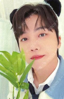 CHO:RD EVERLINE