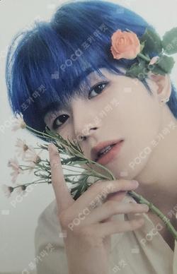 [TP4U] TREASURE TRADING PHOTOCARD
