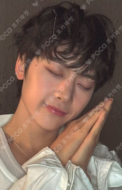 CINEMA PARADISE Plus Chat Shop