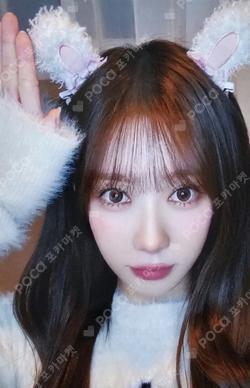 My Christmas Sweet Love MAKESTAR