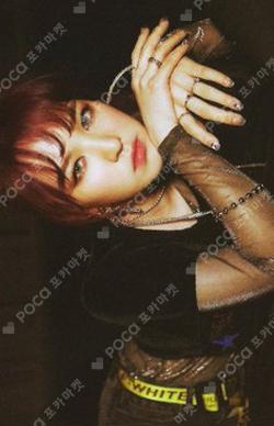 The Perfect Red Velvet KIT Ver. WENDY photocard image